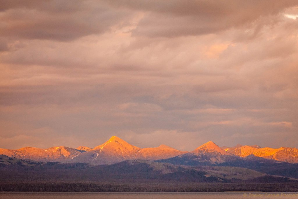 Thumbnail image of Yellowstone mountains at sunset for mountain category