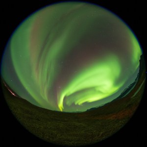 Fisheye-green-purple-swirl