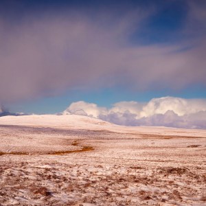 Highland-behind-Lathamore