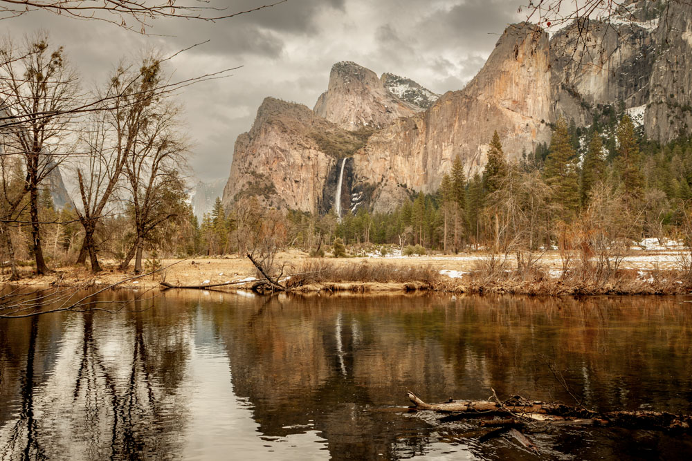 Woman Shelley Carlisle Artist