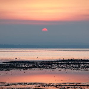 Red-Sunrise-Willapa-Bay