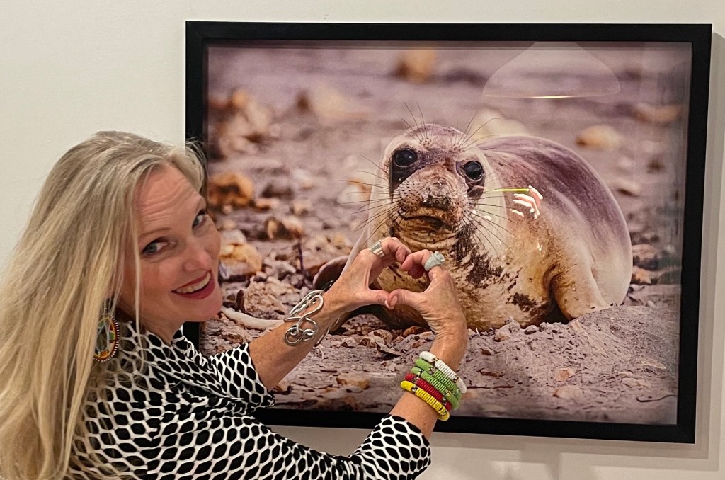 Me with my work "Window to the Soul" photograph of the baby elephant seal I took at point reyes. Photo taken at ADC Fine Art's ACA opening celebration November 2021