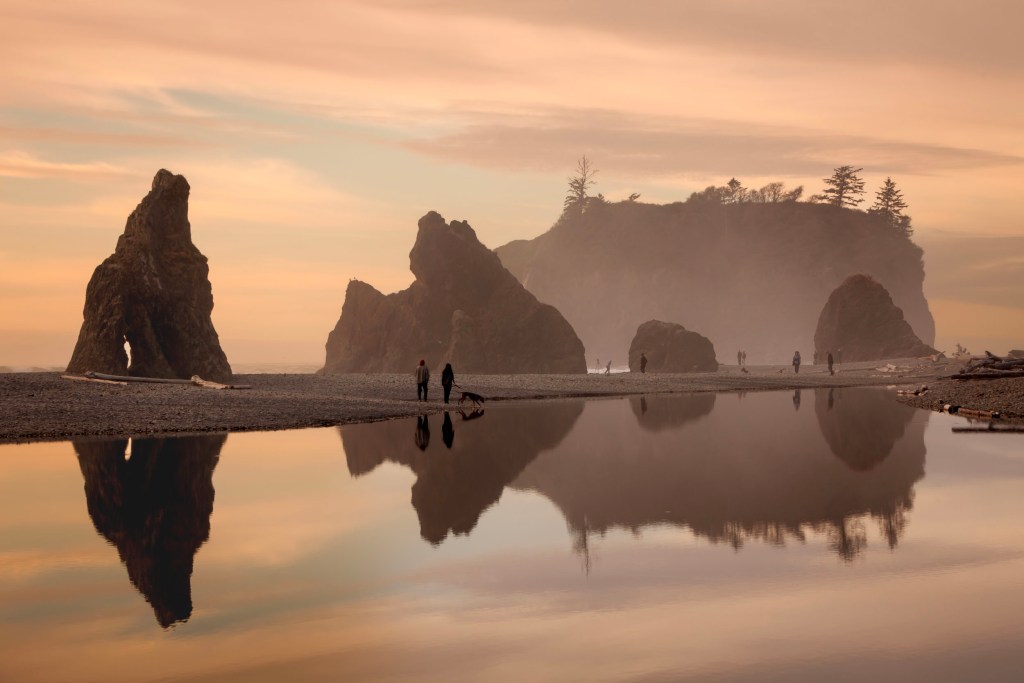 an ethereal misty pastel sunset graces the beach and rock reflections at Ruby Beach in Olympic National Park
