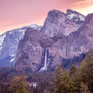 Woman-and-Her-Three-Brothers