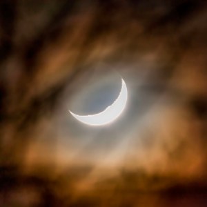 The new, or Maiden moon sliver is captured through branches in the Northern Arizona night sky