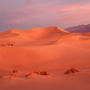 This colorful sunrise over the Mesquite Sand Dunes of Death Valley National Park creates an orange glow and makes one's heart sing.